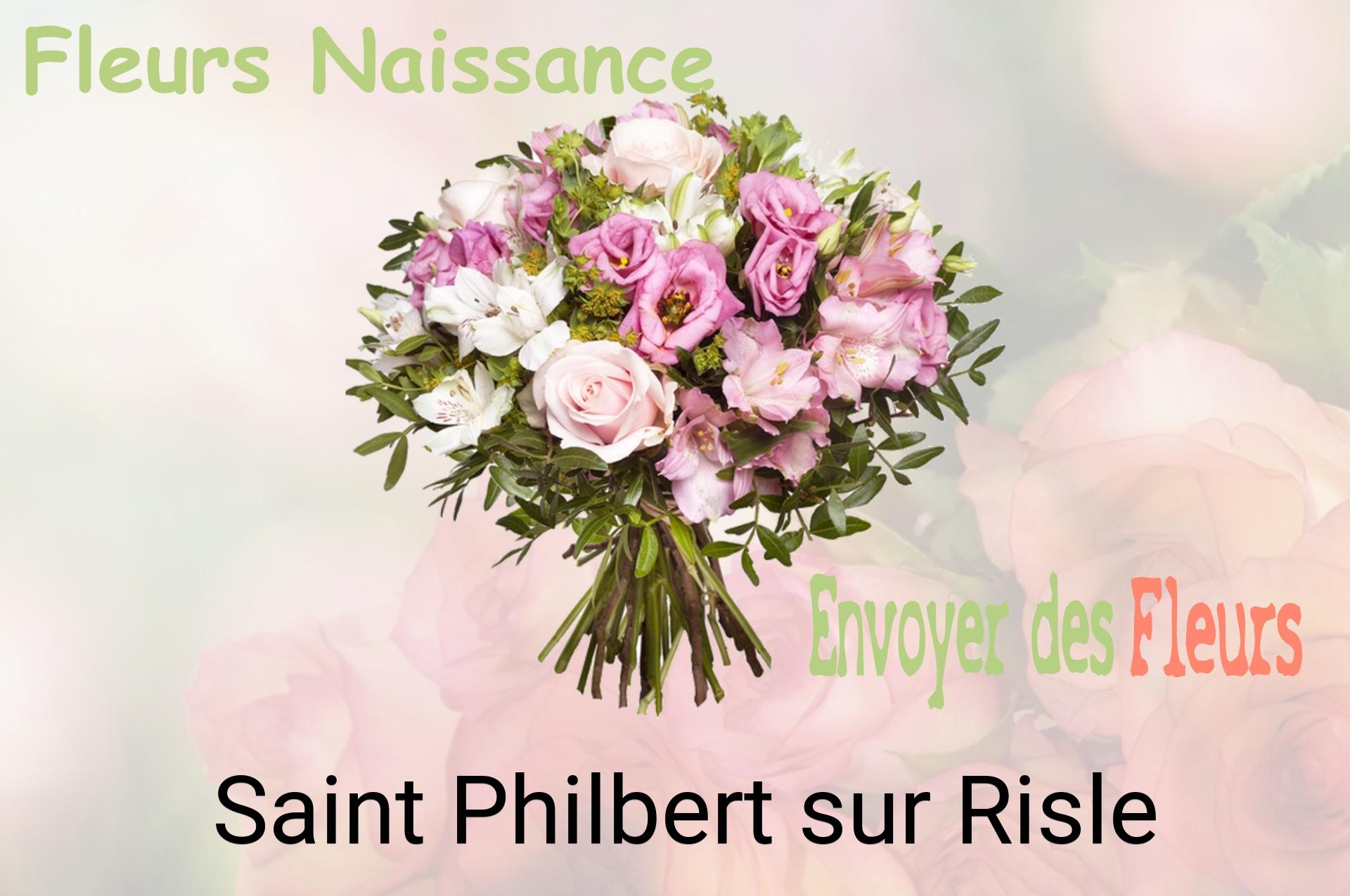 Bouquet de fleurs de naissance livré à Saint-Philbert-sur-Risle